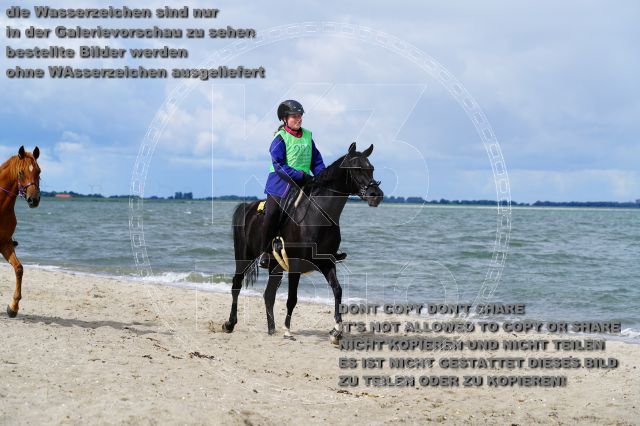 s_K3F05209.JPG